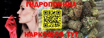 ECSTASY Гатчина