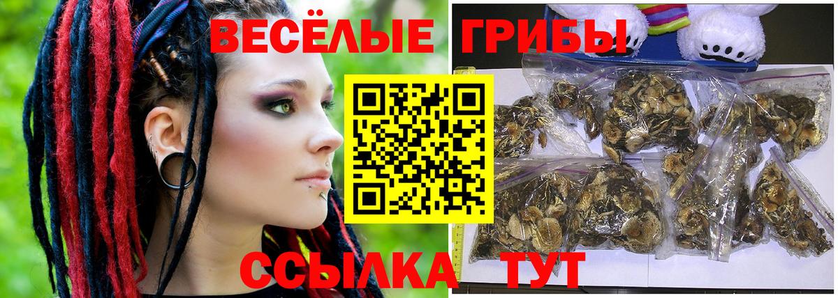 Галлюциногенные грибы GOLDEN TEACHER Сатка
